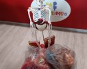 GIOCO SCHELETRO/CORPO UMANO COMPLETO DI TUTTI I...