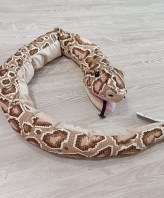 PELUCHE SERPENTE