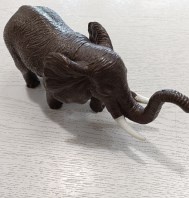 ELEFANTE