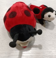 2 PELUCHE COCCINELLA