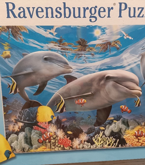 PUZZLE RAVENSBURGER P.ZI 300 NUOVO!