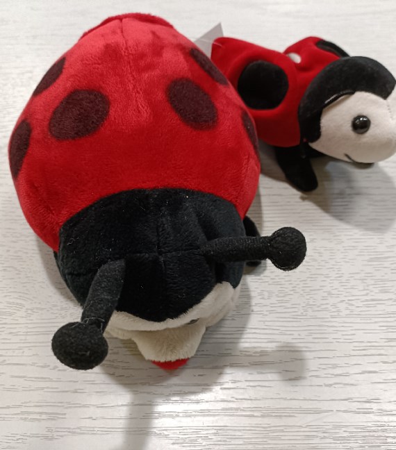 2 PELUCHE COCCINELLA